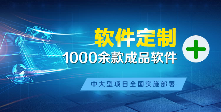利辛管理系统软件软件开发